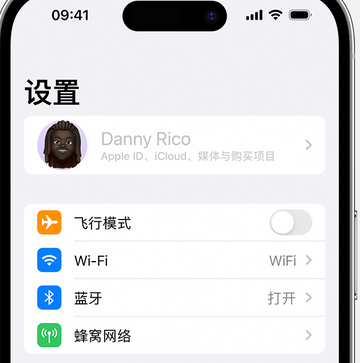 天柱appleID维修服务iPhone设置中Apple ID显示为灰色无法使用