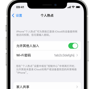 天柱apple服务站点分享iPhone上个人热点丢失了怎么办 