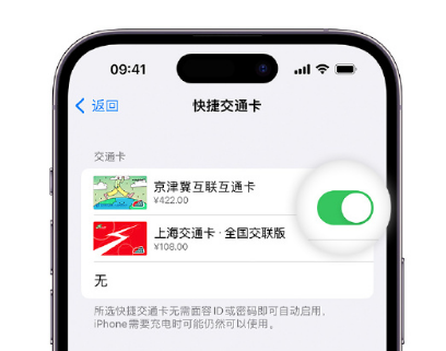 天柱apple维修点分享iPhone上更换Apple Pay快捷交通卡手绘卡面 