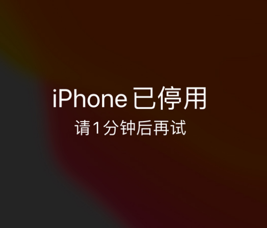 天柱苹果手机维修分享:iPhone 显示“不可用”或“已停用”怎么办？还能保留数据吗？ 