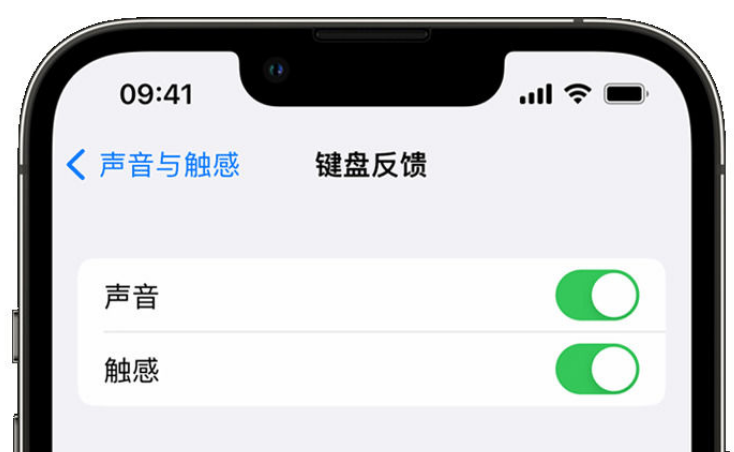 天柱苹果手机维修分享iPhone 14触感键盘使用方法 