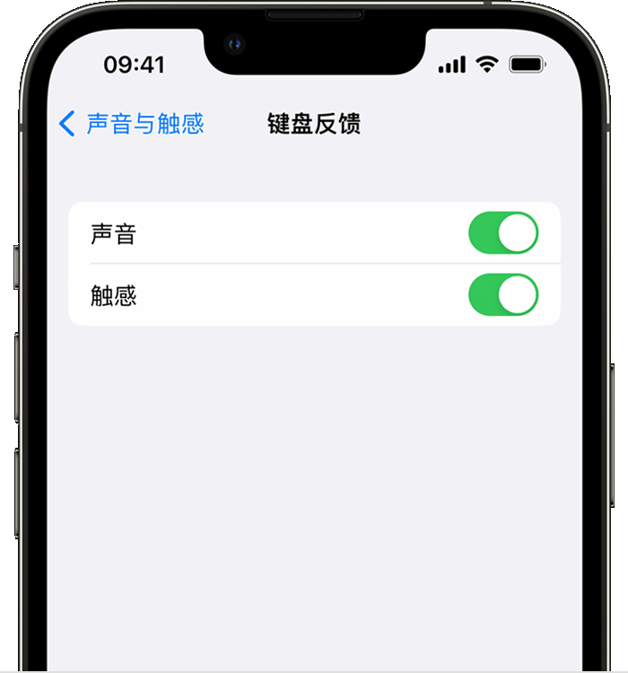 天柱苹果14维修店分享如何在 iPhone 14 机型中使用触感键盘 