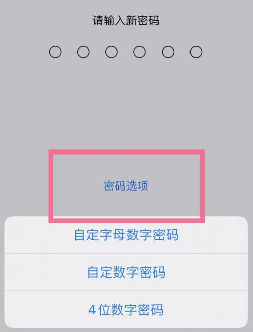 天柱苹果14维修分享iPhone 14plus设置密码的方法 