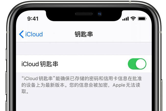 天柱苹果手机维修分享在 iPhone 上开启 iCloud 钥匙串之后会储存哪些信息 